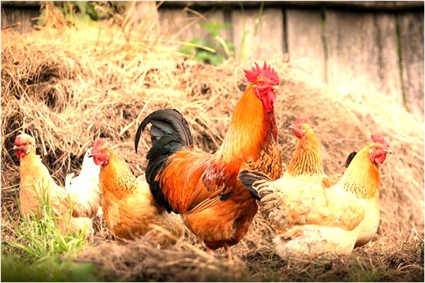 夢見女情人我跟她玩去了有什麼徵兆_周公解夢官網