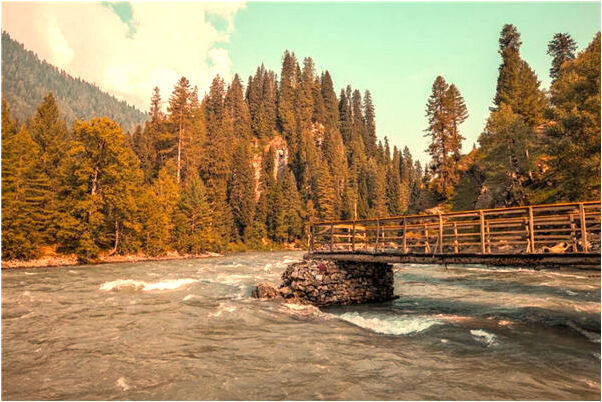 夢見自己駕駛新型個人高鐵代表著什麼_周公解夢官網