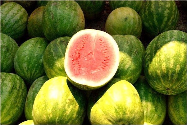 夢到了四隻烏雞怎么回事_周公解夢官網