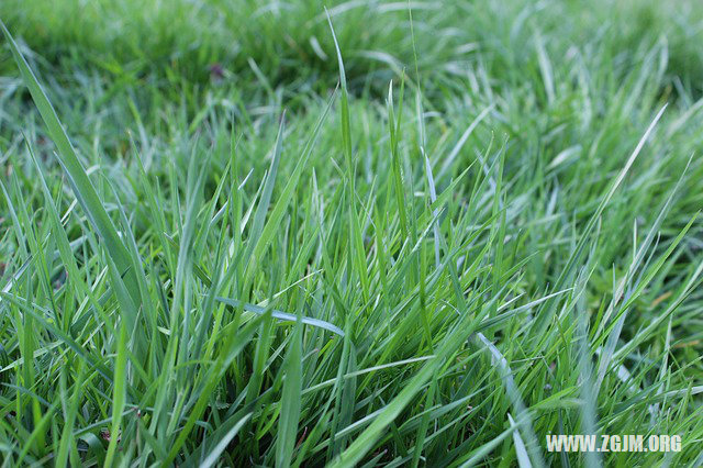 夢見生病打針好不好_周公解夢夢到生病打針好不好是什麼意思_做夢夢見生病打針好不好好不好_周公解夢官網