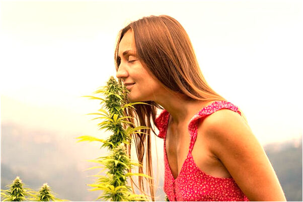 夢見拽話筒是吉兆嗎?_周公解夢官網