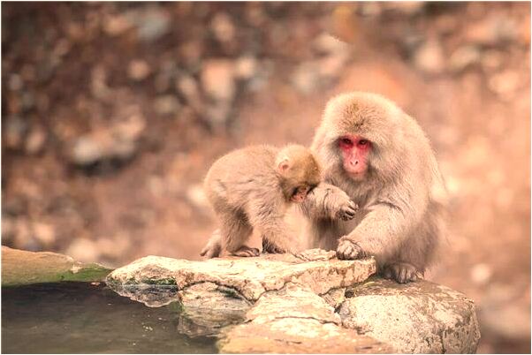 夢見看見兩個男人搞基什麼預兆_周公解夢官網