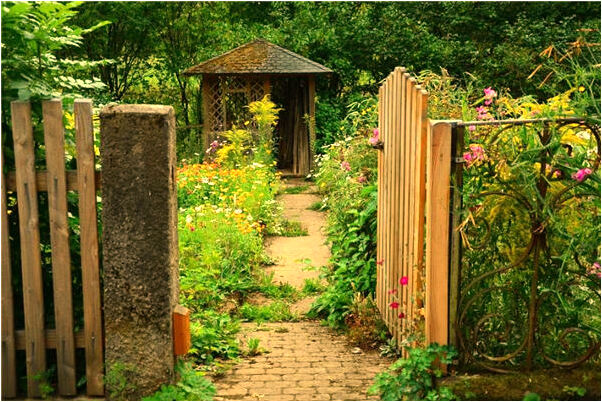 夢見本村的很多人在打掃公路代表著什麼_周公解夢官網