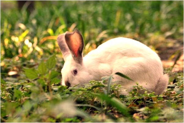 夢見我和一個男人穿紅鞋怎么說_周公解夢官網