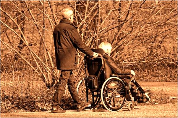 夢見飛龍入懷是啥預兆_周公解夢官網