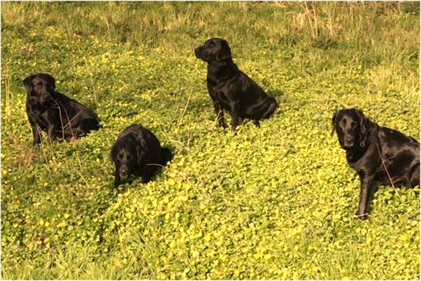 夢見自己大便粘到手上洗不掉代表著什麼_周公解夢官網