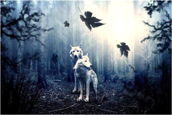 夢到喜歡的姑娘臉老了代表著什麼_周公解夢官網