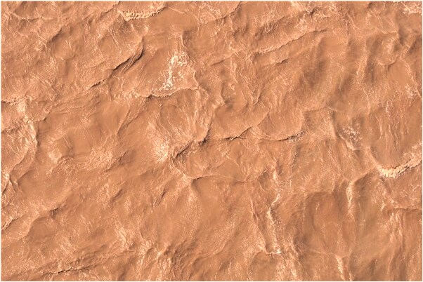 夢見我買了越南少婦的預兆_周公解夢官網