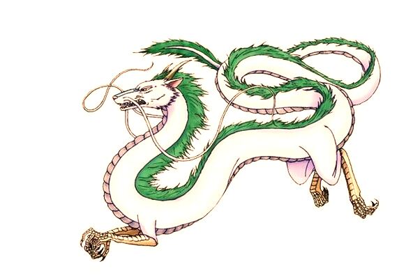 夢到焦作市進口機動車隨車檢驗是好是壞_周公解夢官網