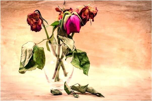 夢見李川東是什麼徵兆_周公解夢官網