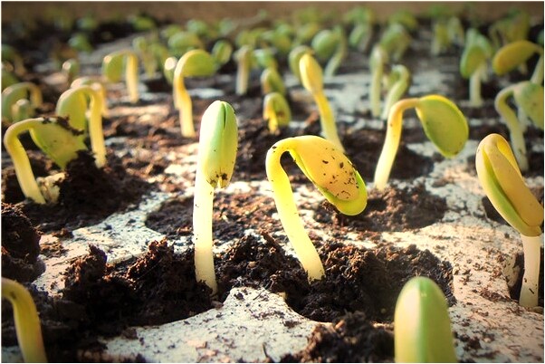 夢見給妻子交錢是好是壞_周公解夢官網