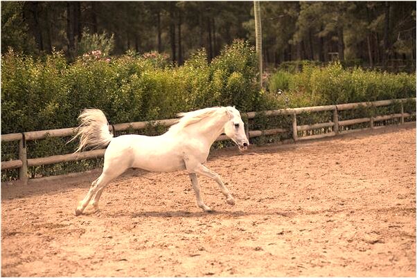 夢到了撿了一隻金耳環是怎么回事_周公解夢官網