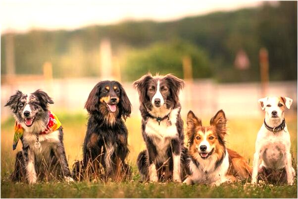 夢到修寺廟是凶兆還是吉兆_周公解夢官網