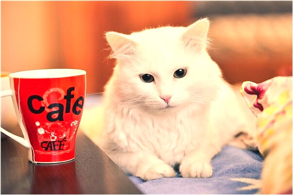 夢見井內冒水有什麼意思_周公解夢官網