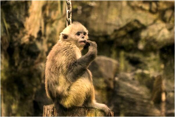 夢到我自己準備嫁衣是什麼意思_周公解夢官網