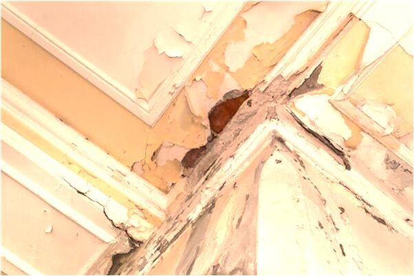 夢到哥哥去世又活了是什麼徵兆_周公解夢官網