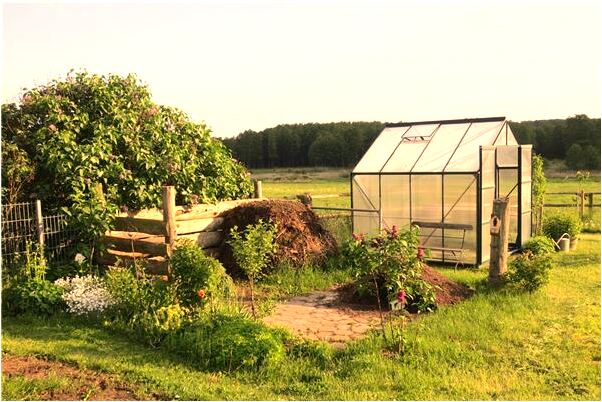 夢到媽媽受傷是什麼啟示_周公解夢官網