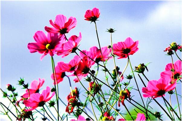 夢到親陰道代表什麼_周公解夢官網