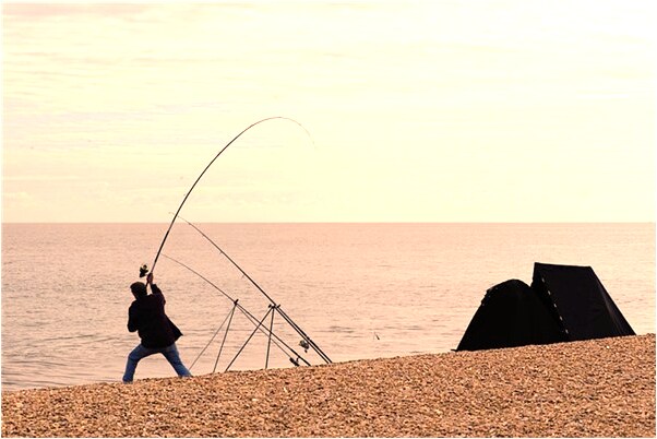 夢見牛觸人預示了什麼_周公解夢官網