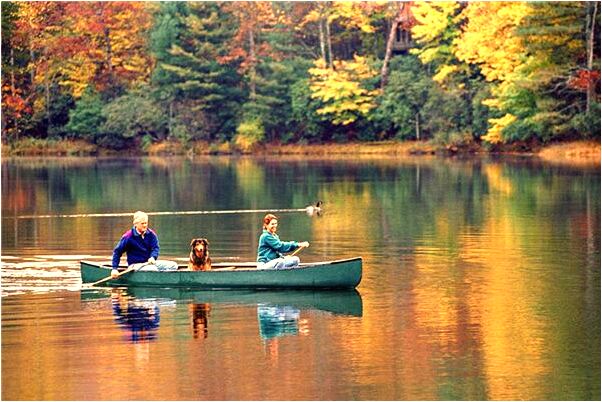 夢見惡人打狗是好事還是壞事_周公解夢官網