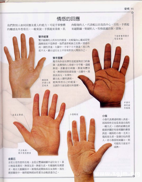 The "palm learning" : your hand and looking at your love