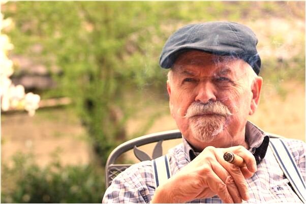 夢到吃杏和滿樹的杏有什麼徵兆_周公解夢官網