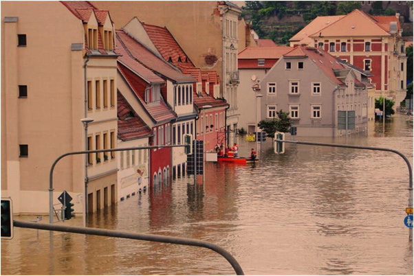 夢見削高粱穗會怎么樣_周公解夢官網