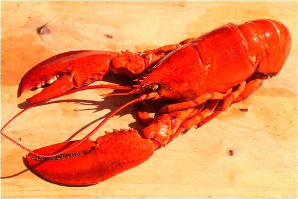 夢見海嘯往高處跑是什麼預兆_周公解夢官網