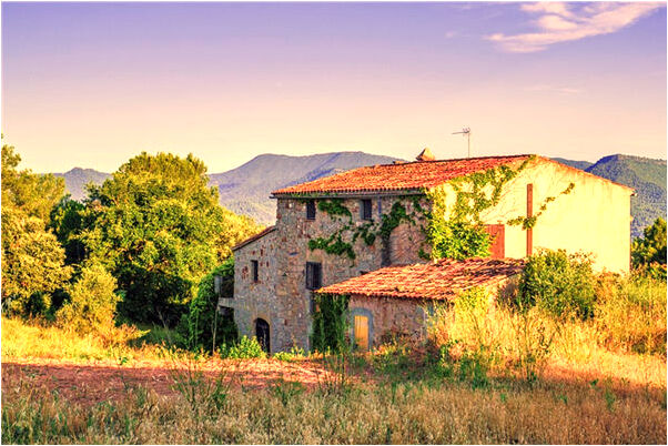 夢到牙縫有韭菜用手剔牙代表著什麼_周公解夢官網