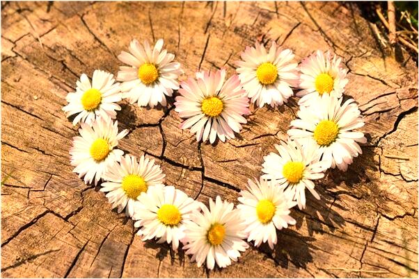 夢到刺瞎眼睛有什麼意思嗎_周公解夢官網