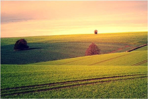 夢到男友的爸爸生病了有什麼說法_周公解夢官網