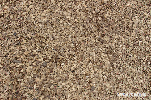 夢見殺狼見血_周公解夢夢到殺狼見血是什麼意思_做夢夢見殺狼見血好不好_周公解夢官網