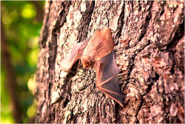 夢到了死人找我索命會是什麼預兆_周公解夢官網