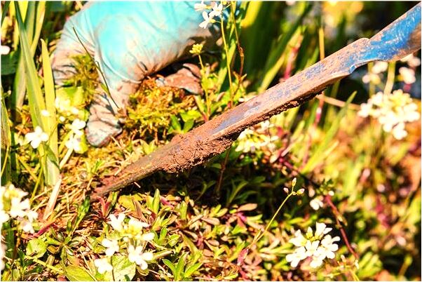 夢到自己走私被發現預示著什麼_周公解夢官網