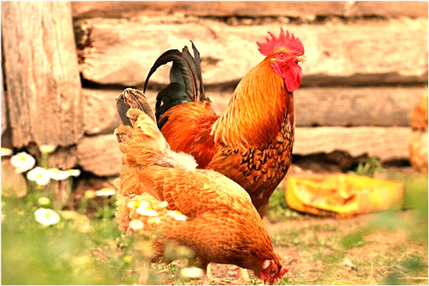 夢到了切開土豆寫別人名字是啥意思_周公解夢官網