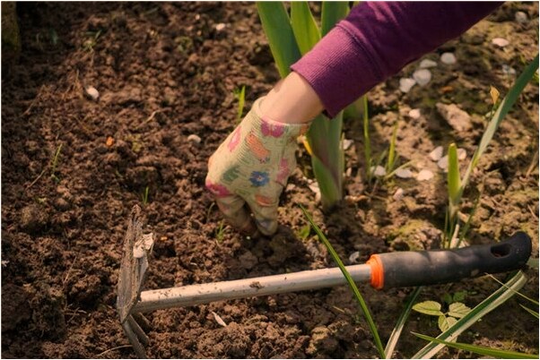 夢見朋友拿錢給我看是好是壞_周公解夢官網