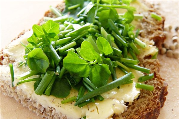 夢見鹽菜是什麼預兆?_周公解夢