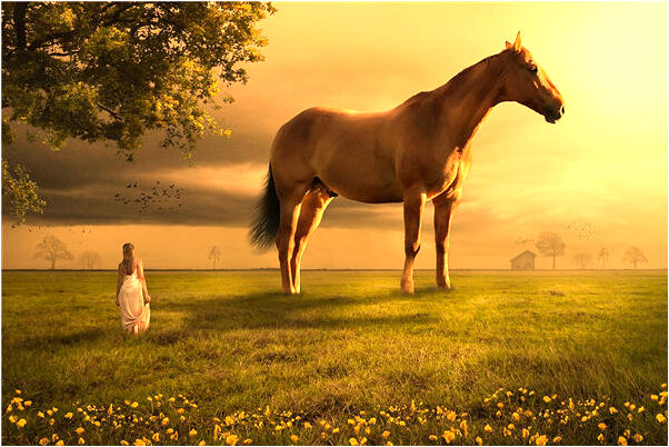 夢到了幫別人賣飯是好的徵兆嗎_周公解夢官網