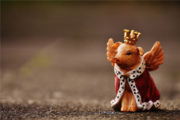 2019年1月屬豬的性格如何_十二生肖