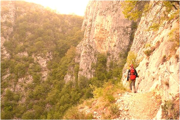 夢到了麥地大水往外流什麼寓意_周公解夢官網