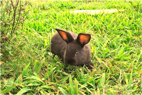 夢到了跟老公和他的家人會是什麼預兆_周公解夢官網