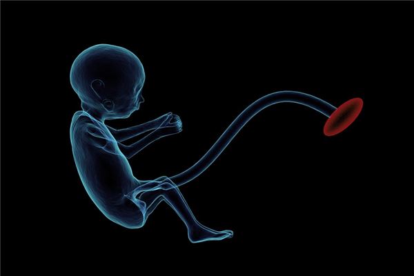 夢見自己打胎預示什麼_周公解夢