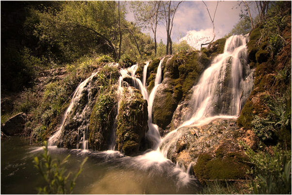 夢到了黃色大錦蛇交配還有獅子是凶兆還是吉兆_周公解夢官網