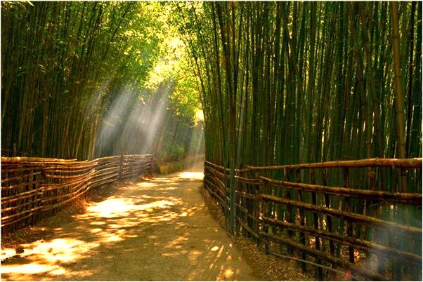 夢到了河結冰重新找路會有什麼預兆_周公解夢官網