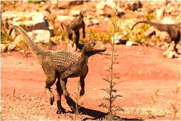 夢到衣服被蛀有何寓意_周公解夢官網