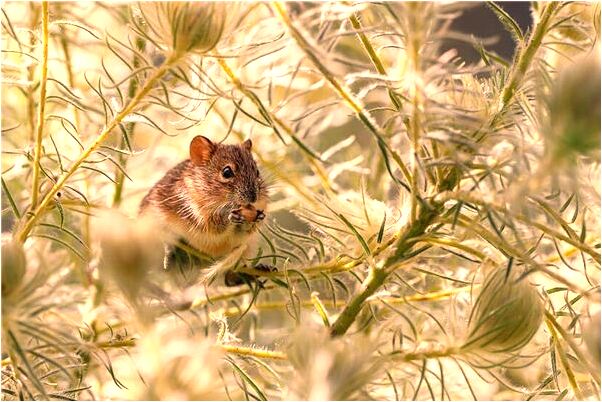 夢見在水庫捉魚代表著什麼？_周公解夢官網