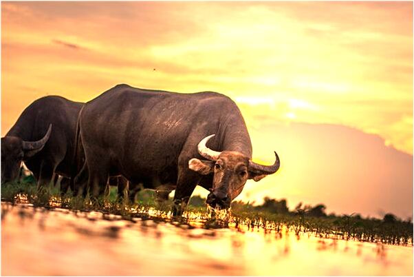 夢到了尹海麗預示了什麼_周公解夢官網