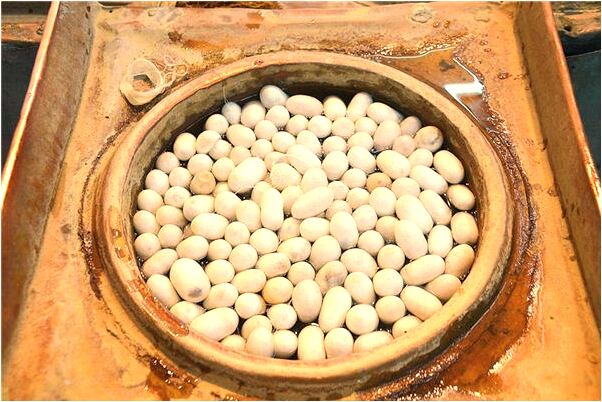 夢見被貓頭鷹咬中毒什麼寓意_周公解夢官網