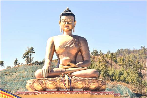 夢到羊被殺有什麼寓意嗎_周公解夢官網