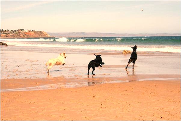 夢到了兩套兒童紙衣一套大人紙衣預兆了什麼嗎_周公解夢官網